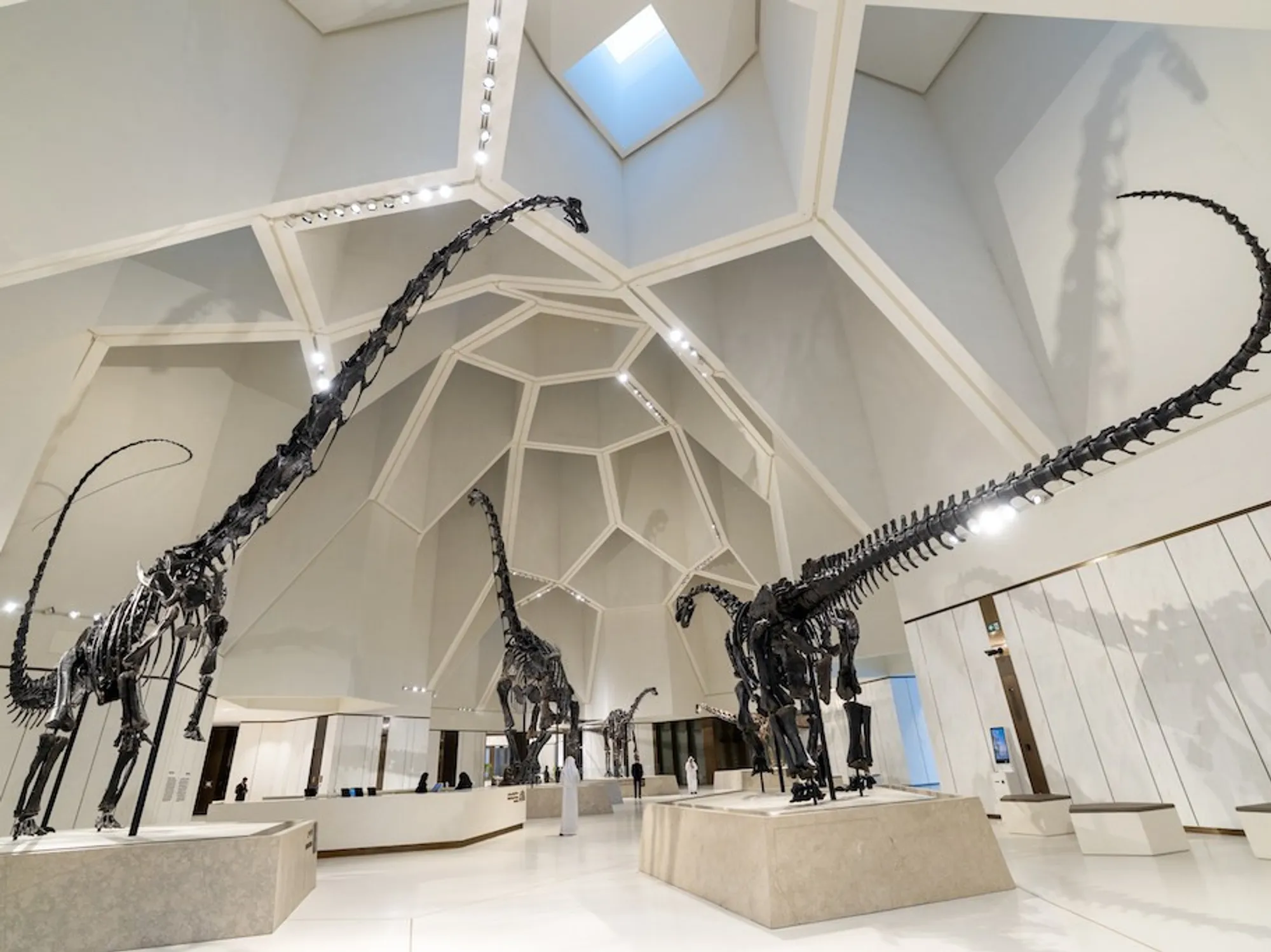 High-End Natuurhistorisch Museum