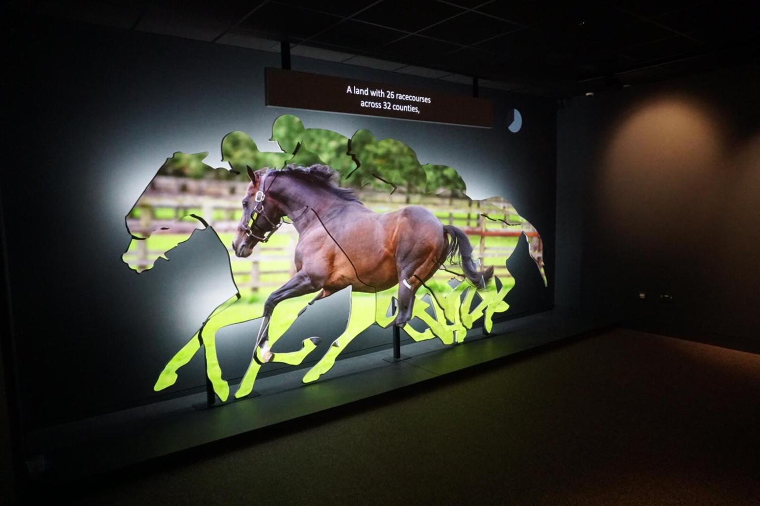 Irish Racehorse Experience